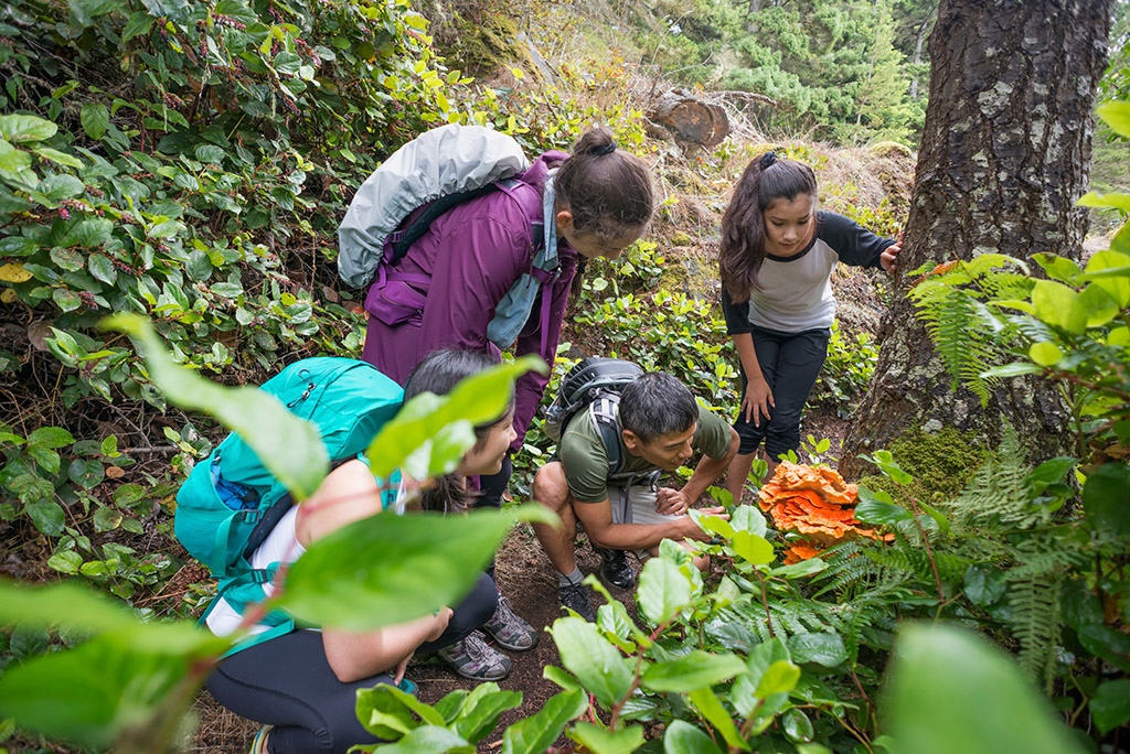 Forest Schools 1